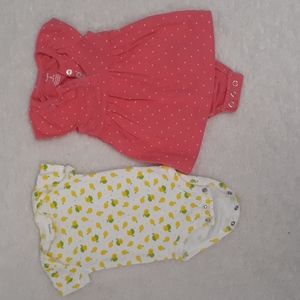 Carter's Babies Girls Bundle of 2 100% Cotton Onsie Bodysuits Size 3 Months
